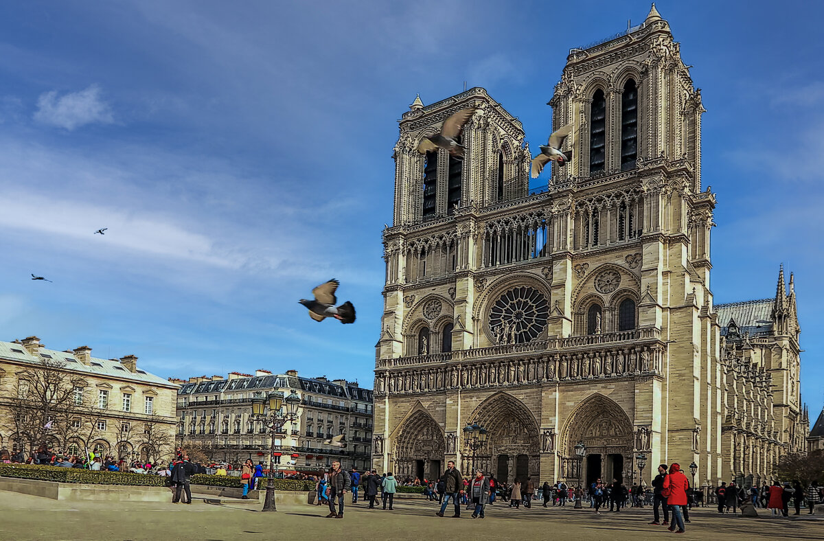 Париж - Aleksey Afonin