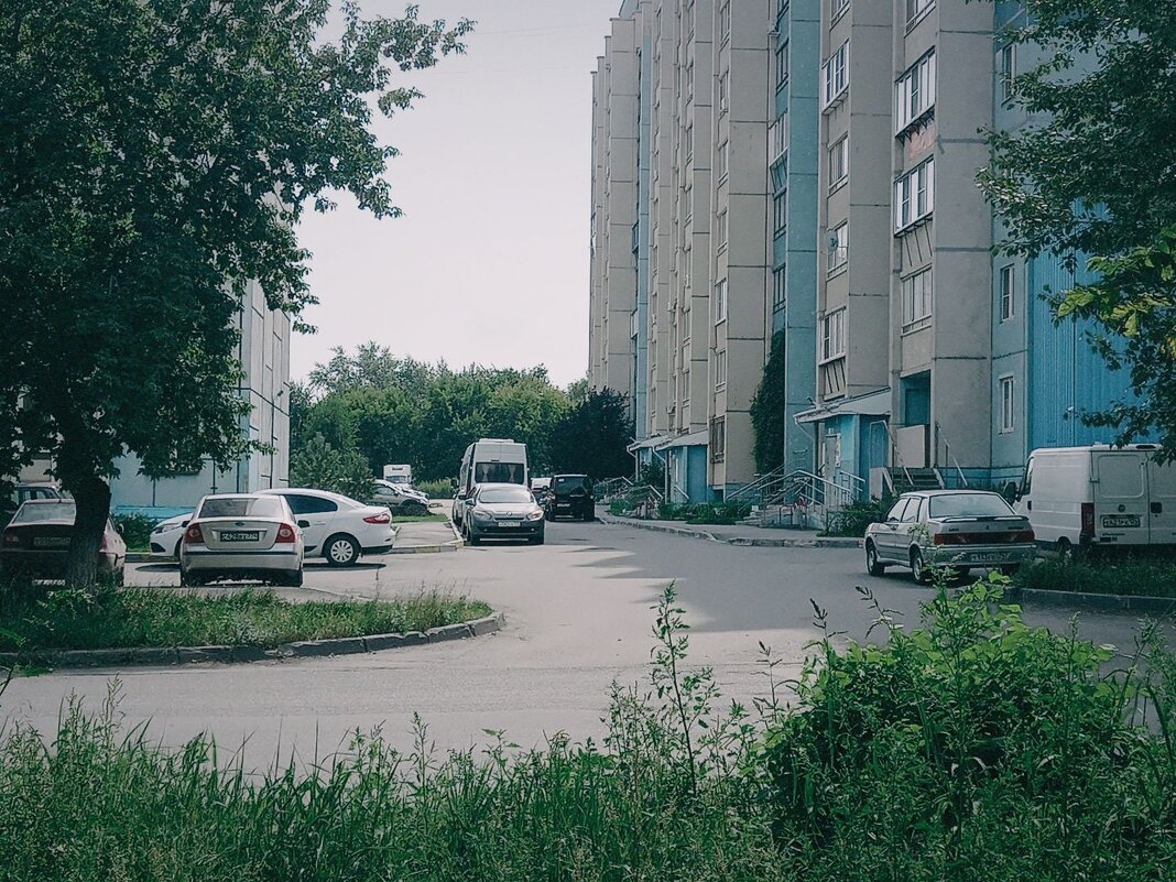 Человейники - Игорь Солдаткин