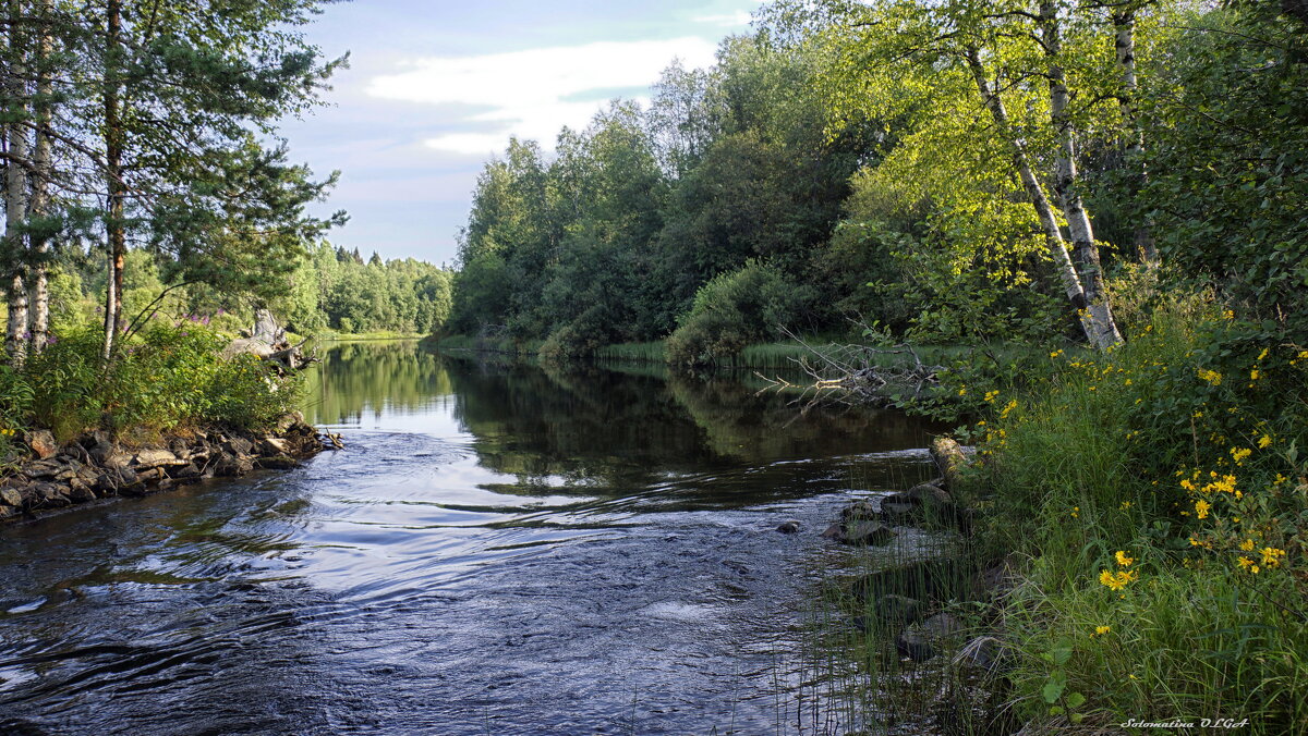 река Янис - Ольга Cоломатина