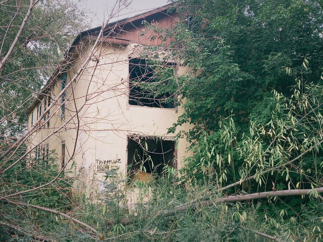 Затерянный в джунглях городских. - Игорь Солдаткин Затерянный в джунглях городских. - Игорь Солдаткин