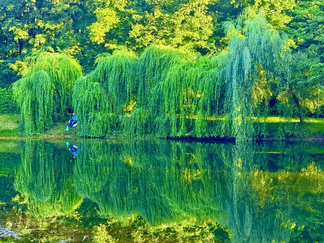 Отражение - Iren Brilliance