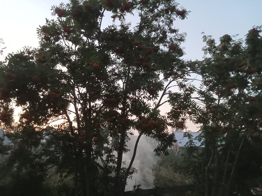 В белую ночь - Виктор 