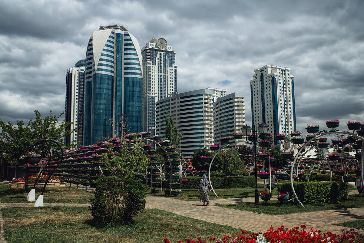 Грозный сити - Лилия . Грозный сити - Лилия .