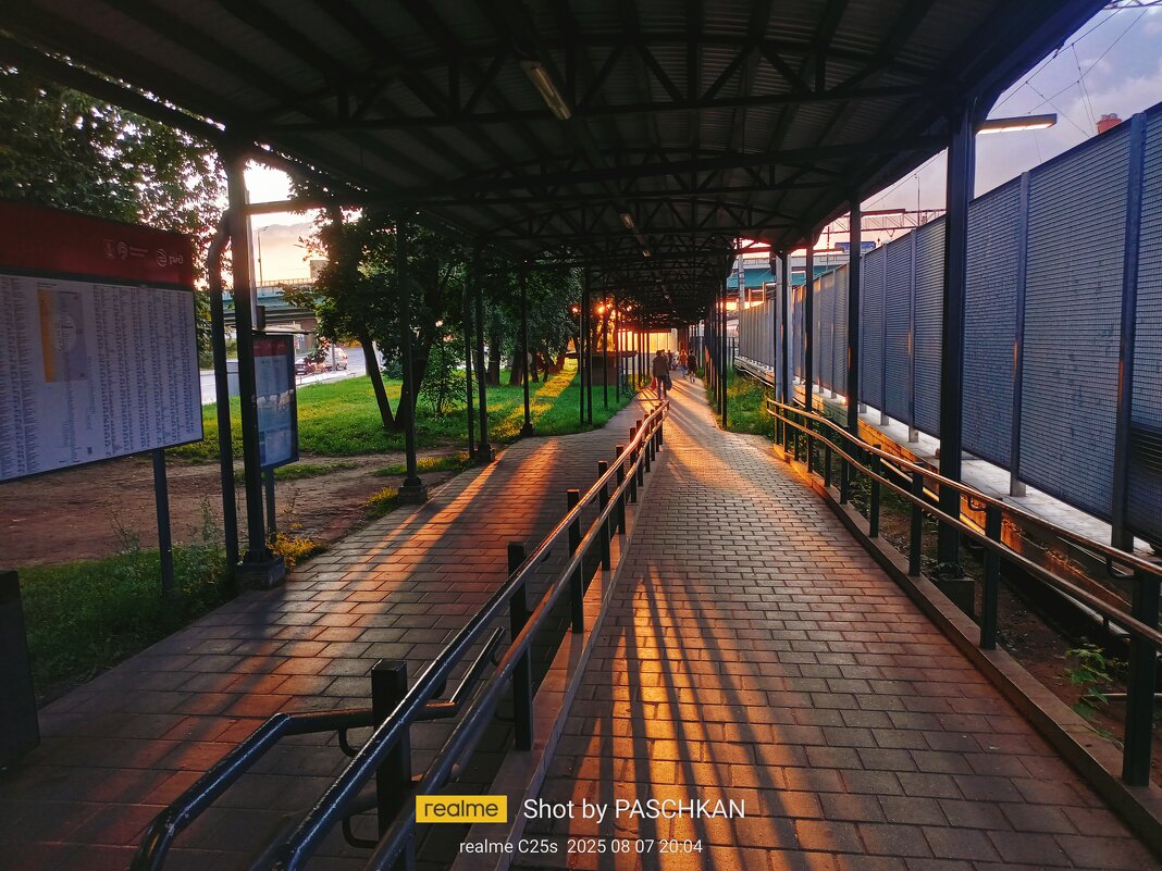 Станция Андроновка - Павел Михалёв