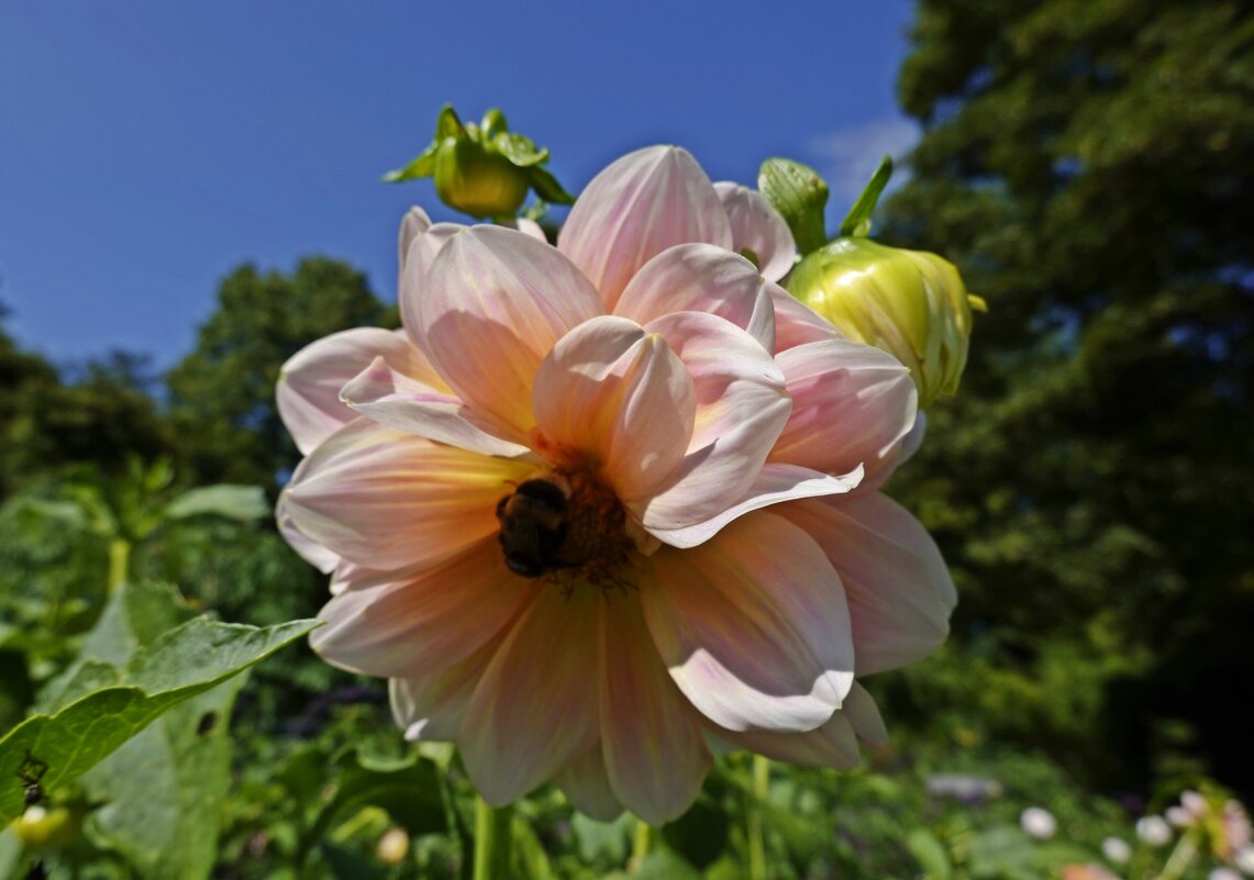 ... - Галина ... - Галина