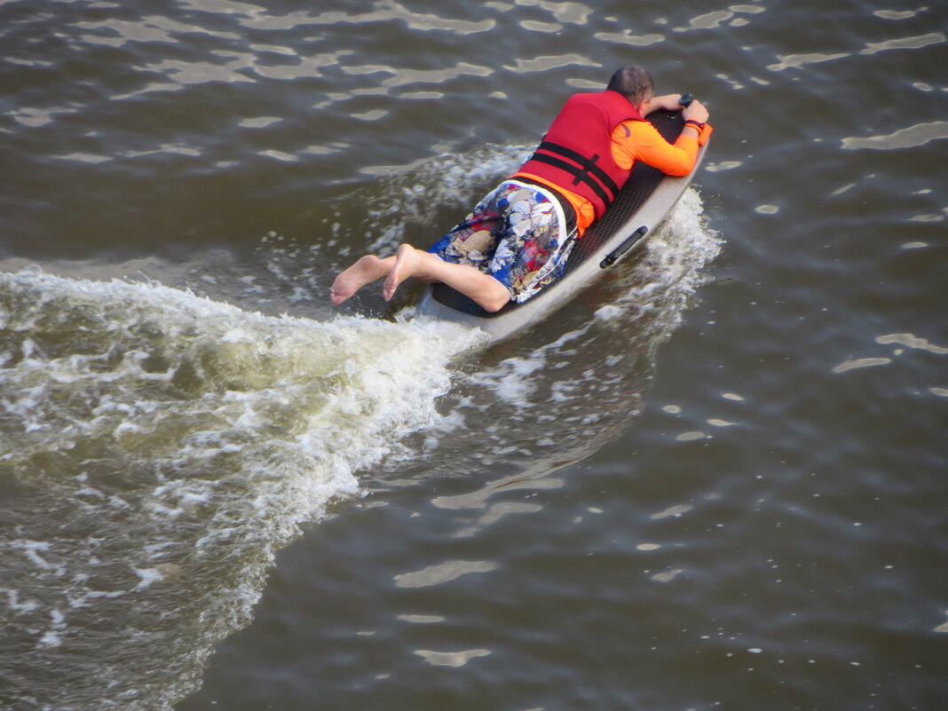 Новый вид транспорта - Александр Чеботарь Новый вид транспорта - Александр Чеботарь