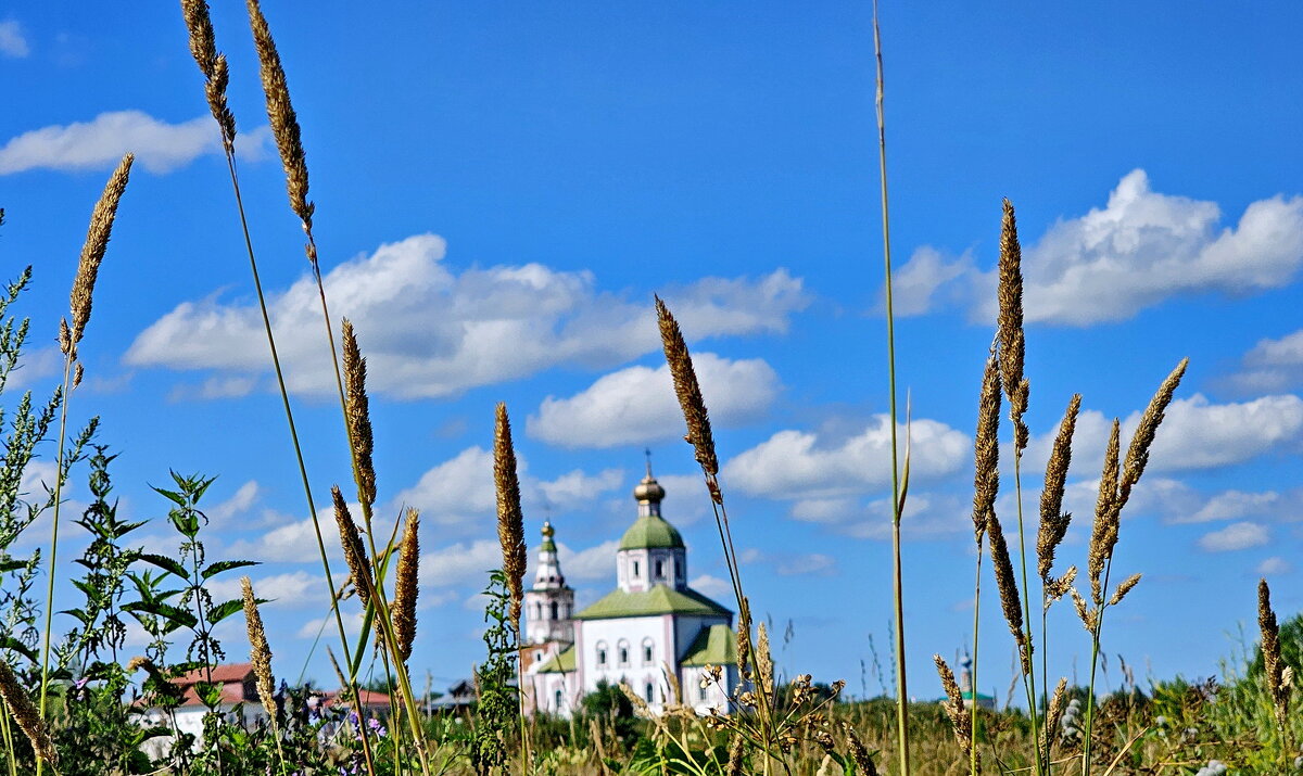 Суздаль - Михаил Свиденцов