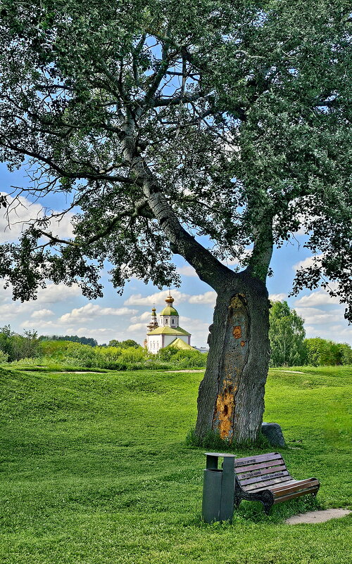 Суздаль - Михаил Свиденцов