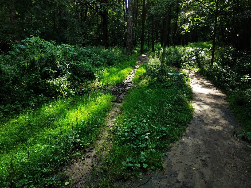 Мой путь светел :-) - Андрей Лукьянов Мой путь светел :-) - Андрей Лукьянов