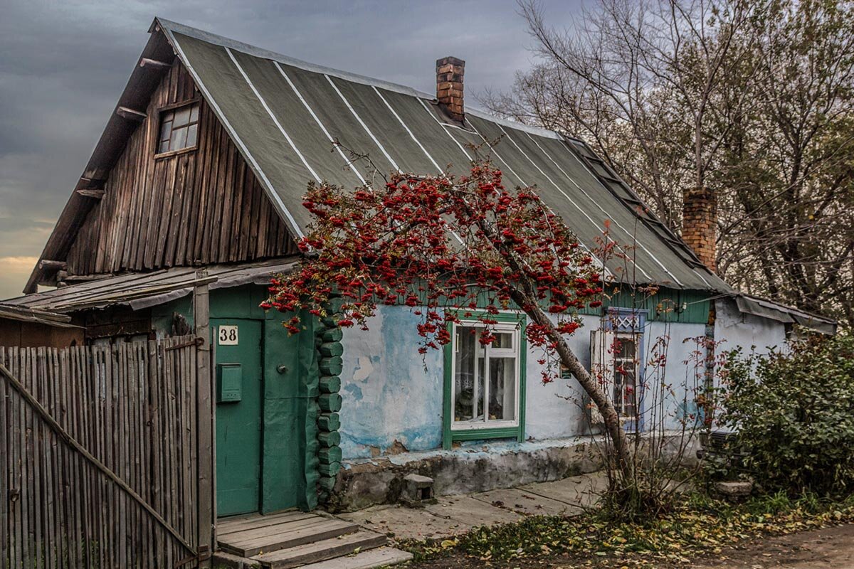 Рябина - SanSan 