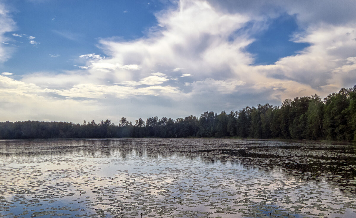 Введенское озеро - Сергей Цветков