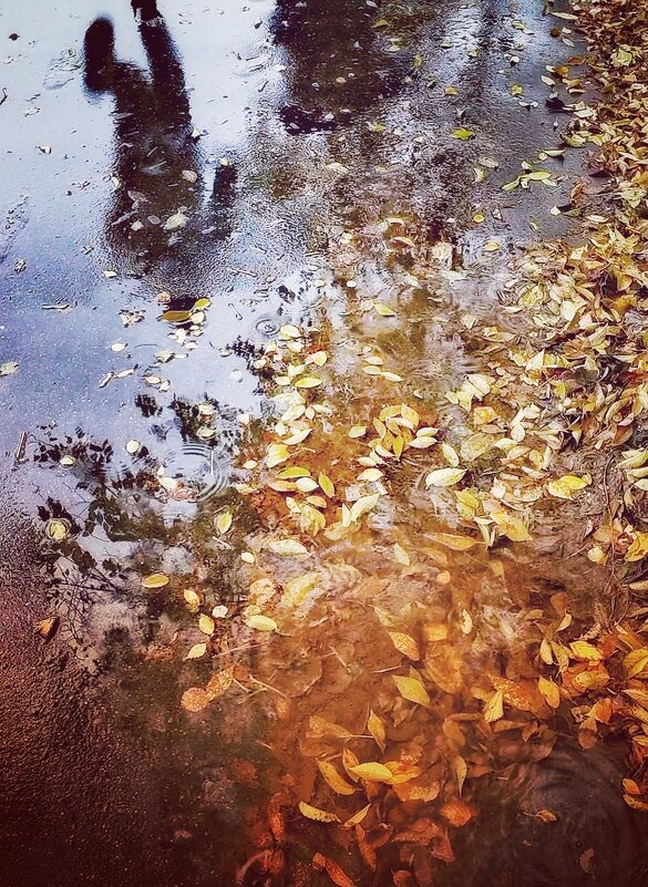 Осень. Дождь. Отражение в луже. - Любимова Ольга Осень. Дождь. Отражение в луже. - Любимова Ольга