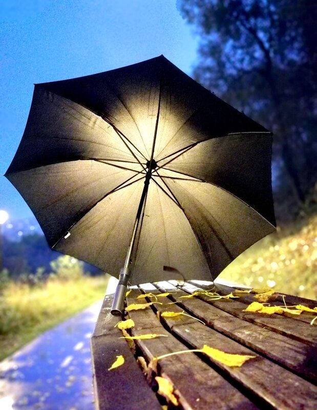 Осенняя фотосессия зонтика. - Любимова Ольга Осенняя фотосессия зонтика. - Любимова Ольга