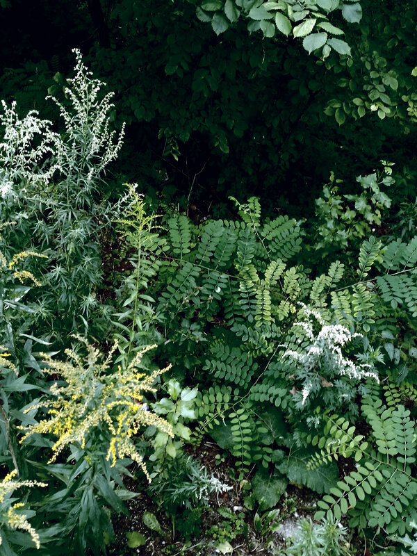 *** - Валентина Береснева