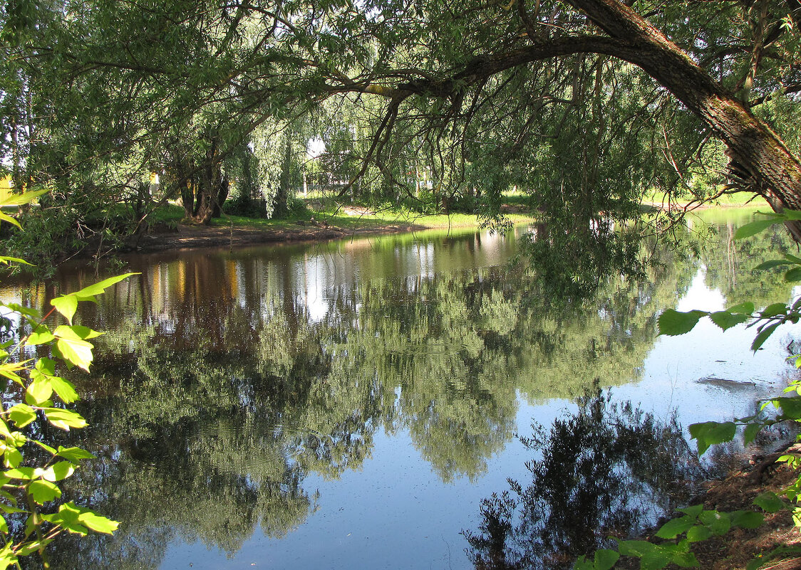 Река Порусья - Александр Ильчевский Река Порусья - Александр Ильчевский
