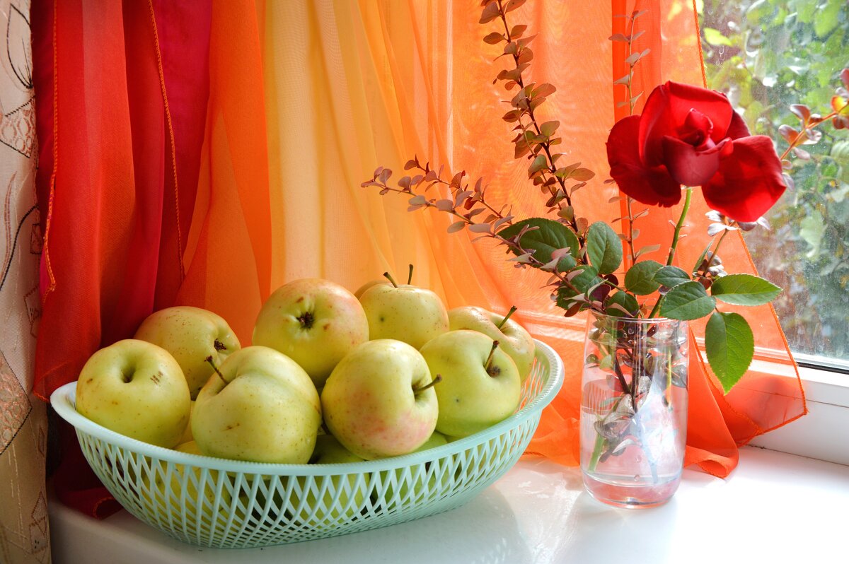 *** - Надежда Куркина *** - Надежда Куркина