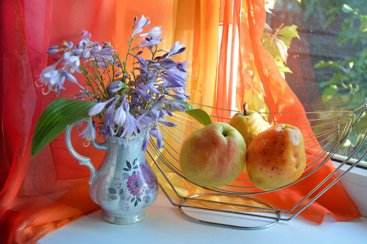 *** - Надежда Куркина 