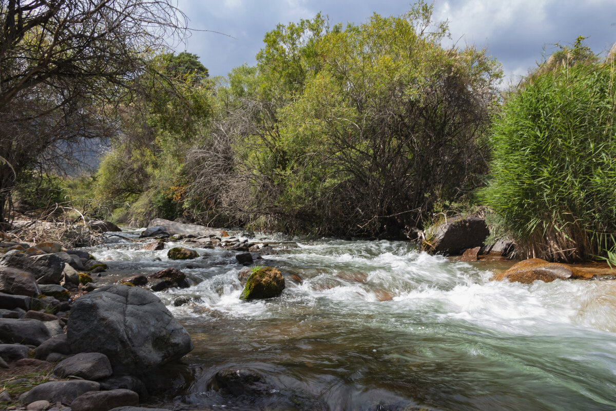 Мимо не проедешь - жара! - LudMila Мимо не проедешь - жара! - LudMila