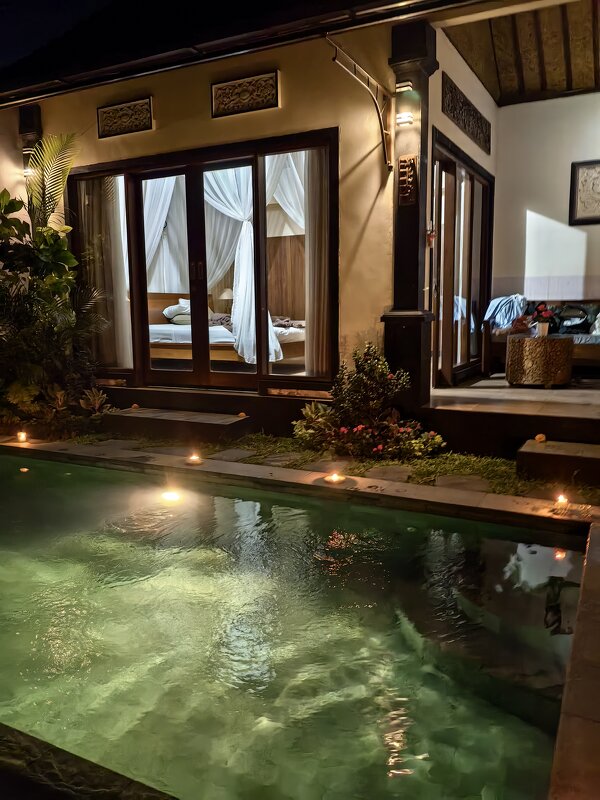 Ночь на вилле в Убуде - Вероника Парилова