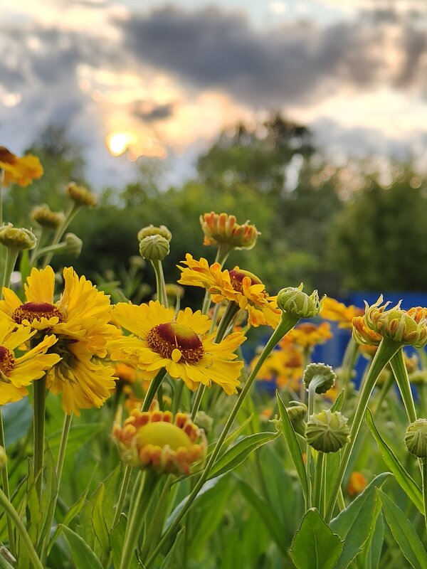 Вечер - Андрей 