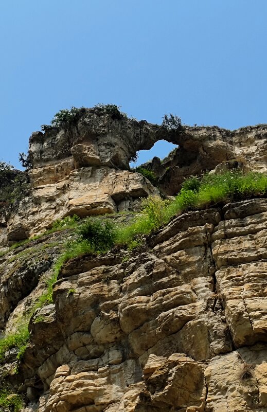 Окно в природу. - Александр Кондаков