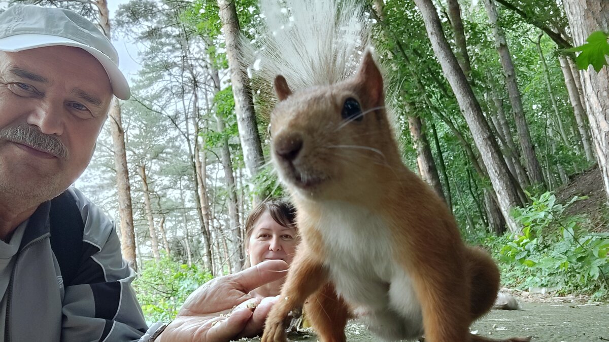 Хто тут главный? - Александр Кондаков