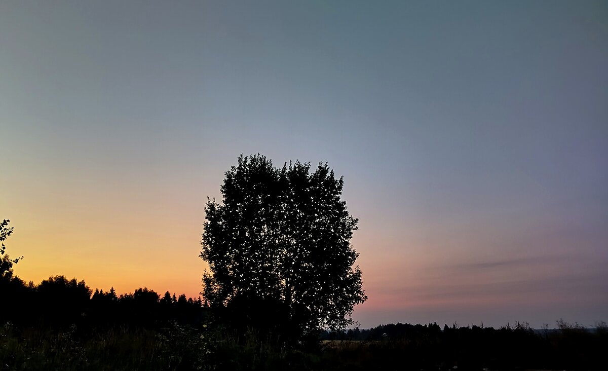 На закате дня - светлана льдокова