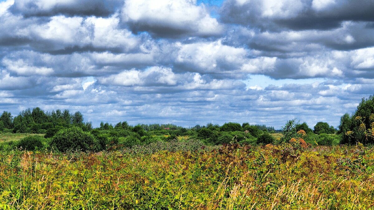 Про облака. - Милешкин Владимир Алексеевич 