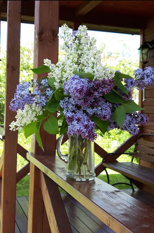 Букет сирени - Вера (makivera)