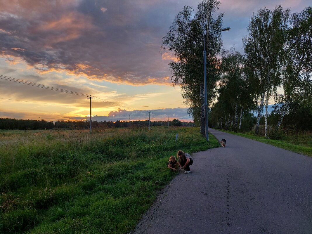 нашли слизня на обочине - Артём 