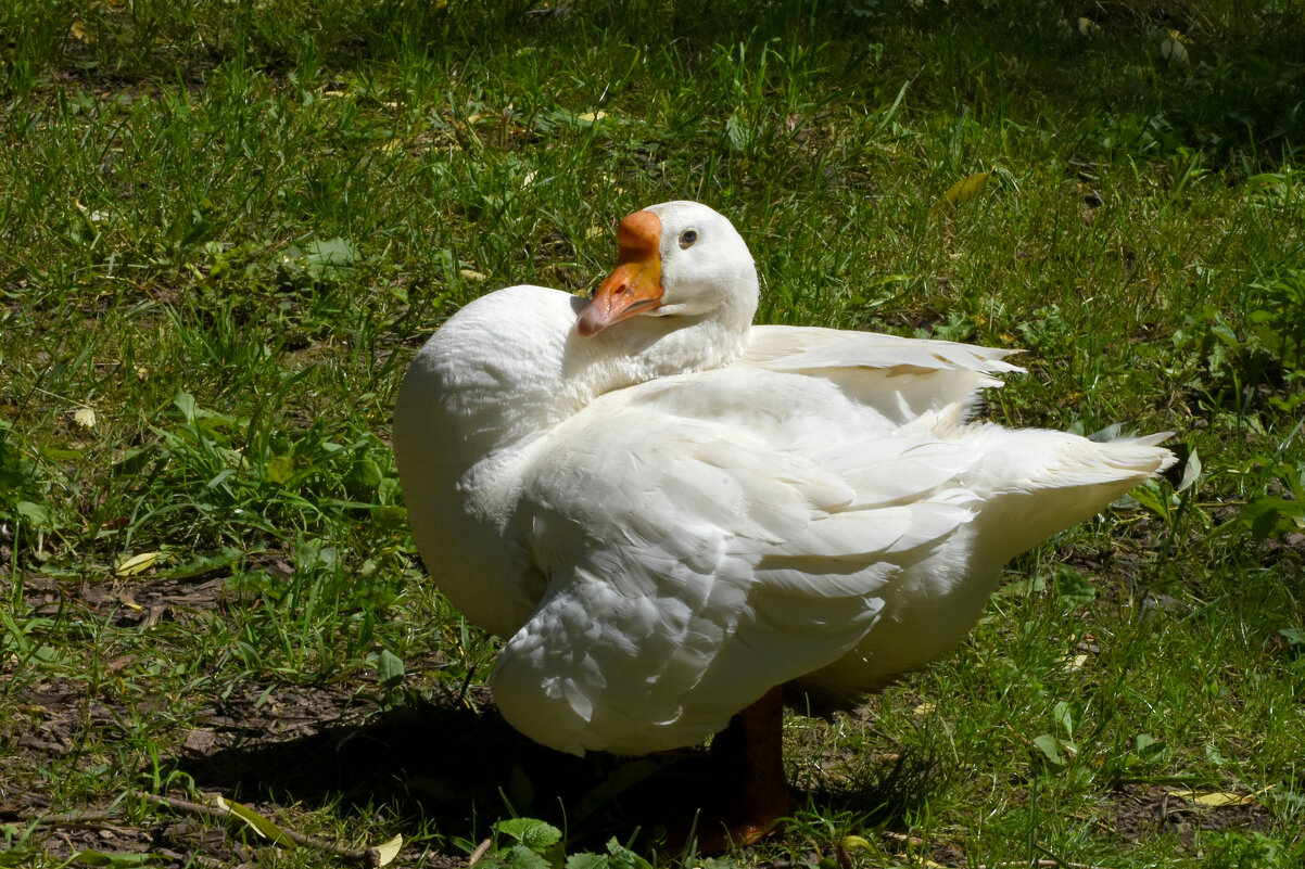 Москва. Сад будущего. - Наташа *****