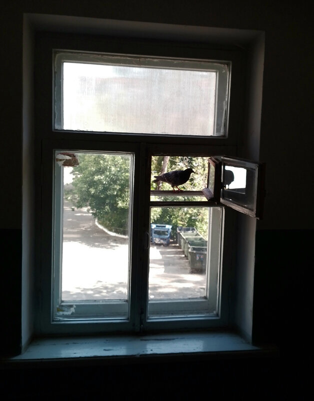 *** - Валентина Береснева