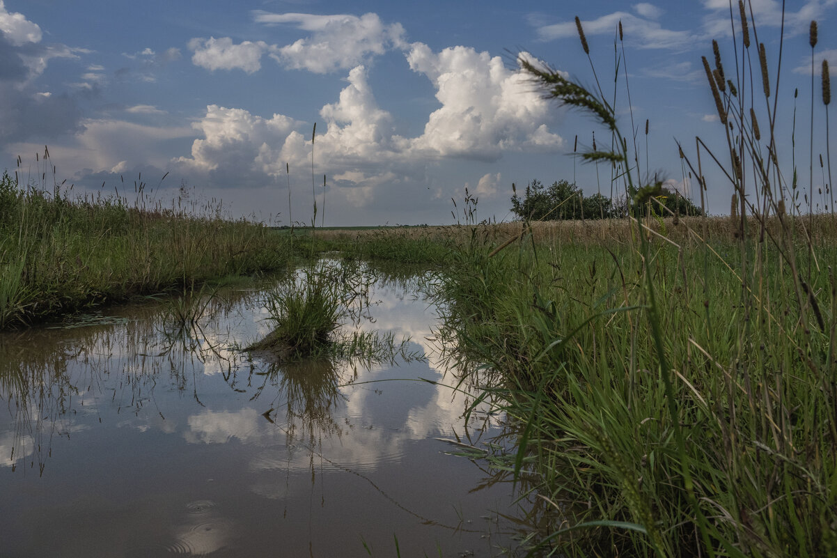 Полдень - Владимир 