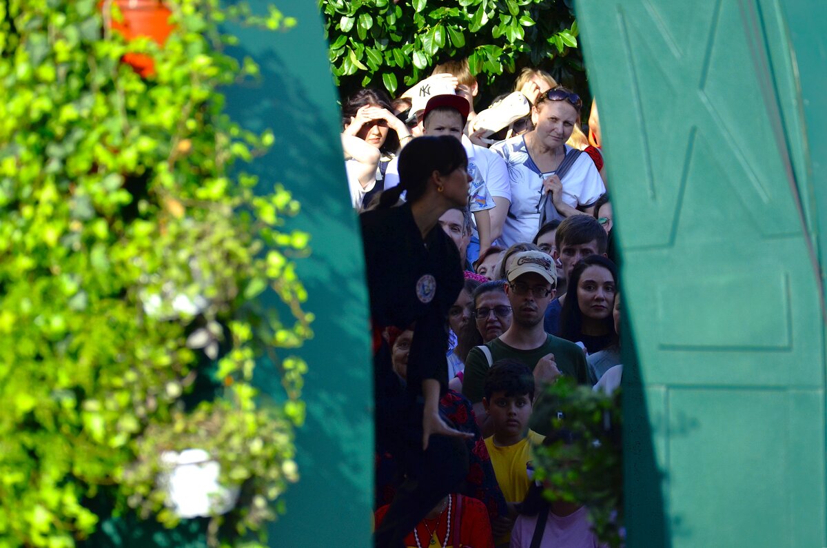 Зрители. - Наталья Вязигина