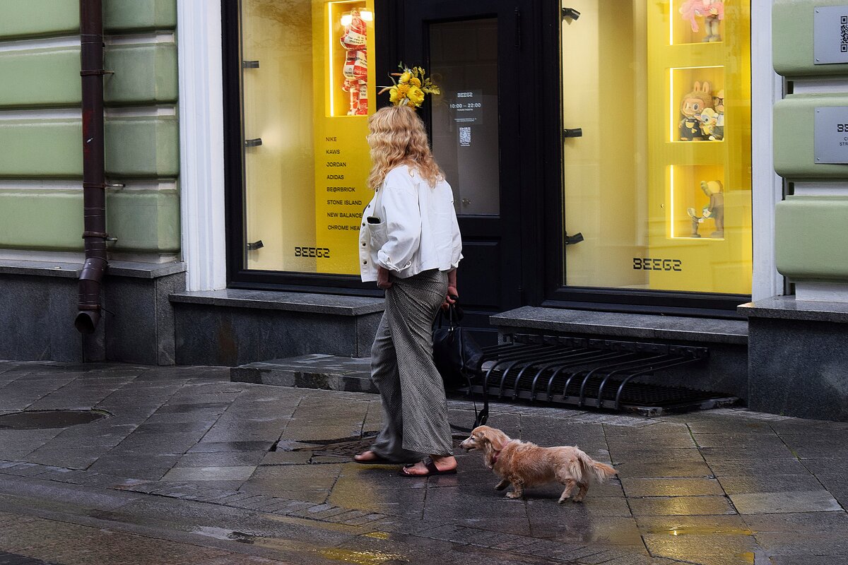 Променад с питомцем. - Татьяна Помогалова