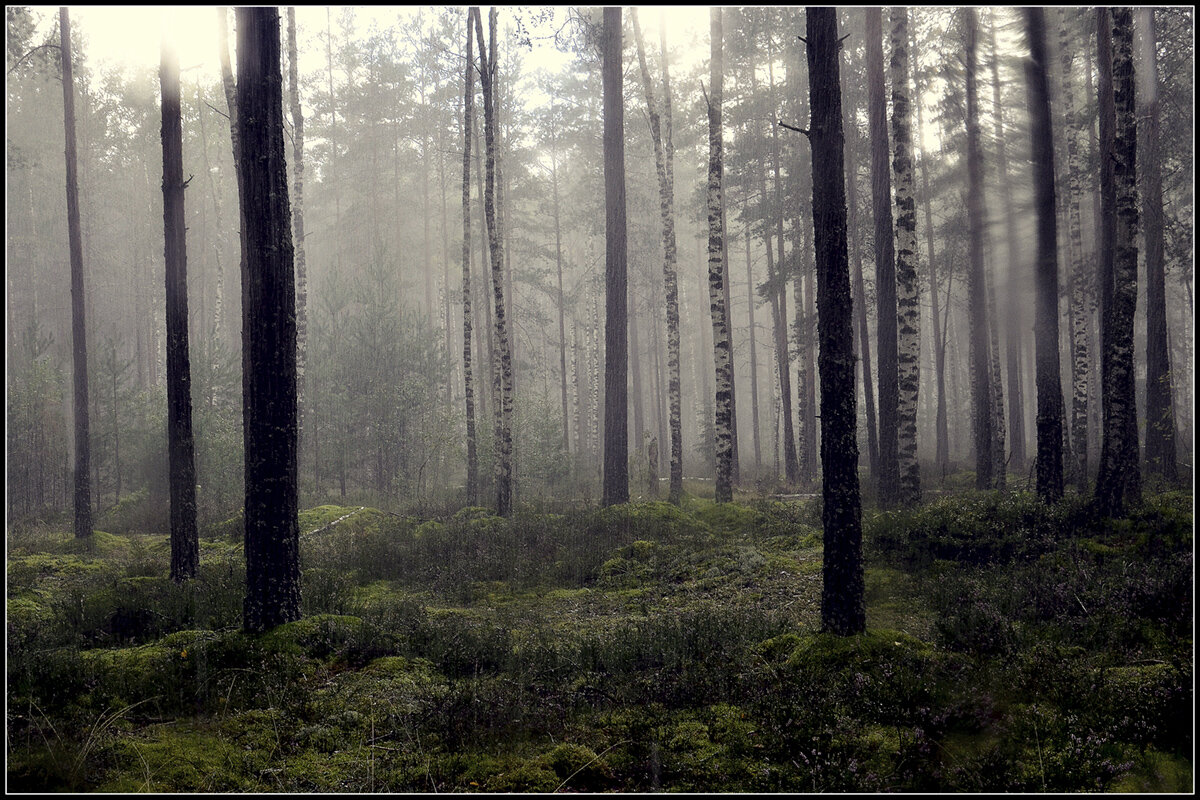 Дождливо - Aleksandr Gal
