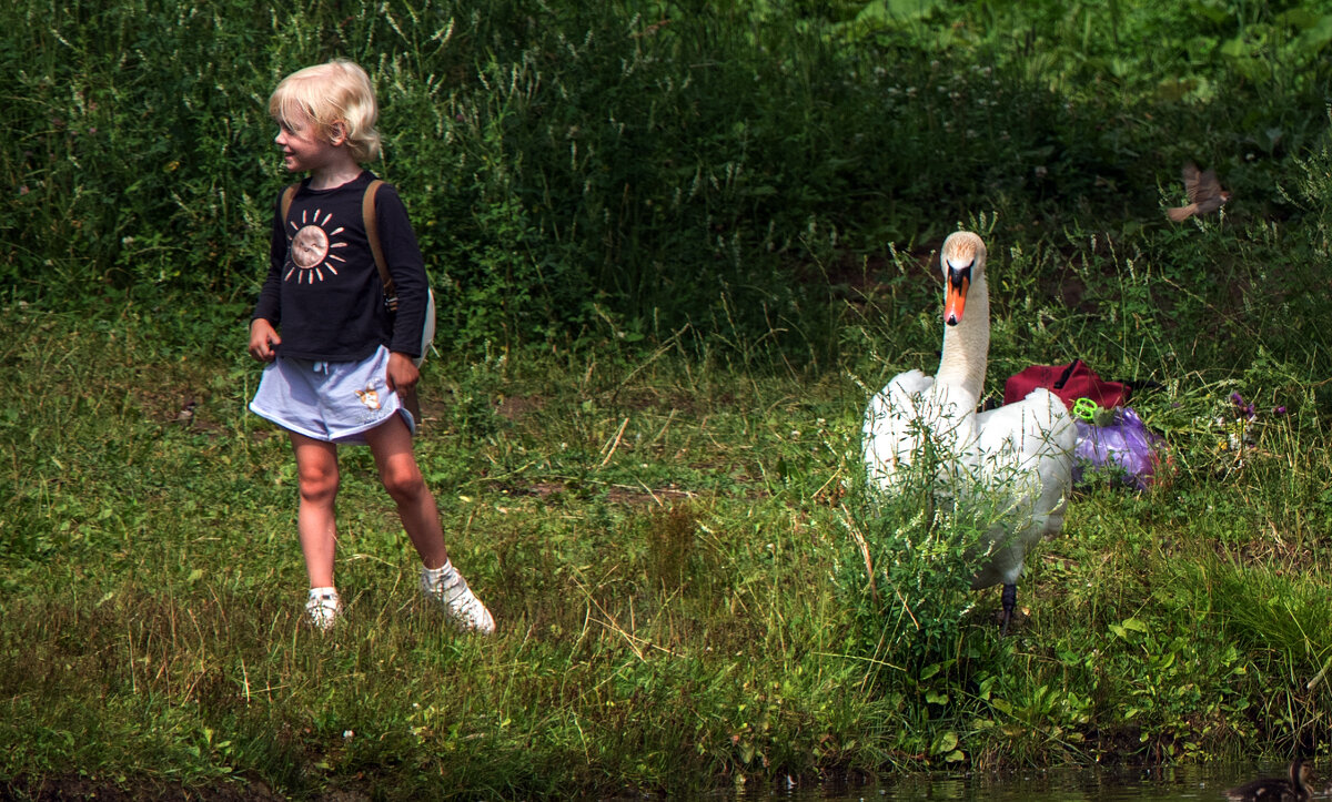 "Эй, посмотрите кто пришел!" - Владимир Безбородов "Эй, посмотрите кто пришел!" - Владимир Безбородов