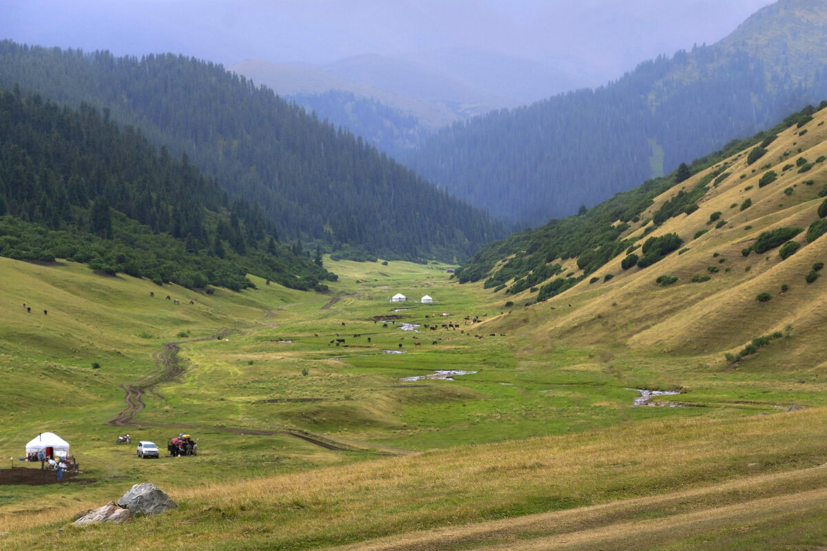 На джайляу, Сев.Тняь-Шань - LudMila 