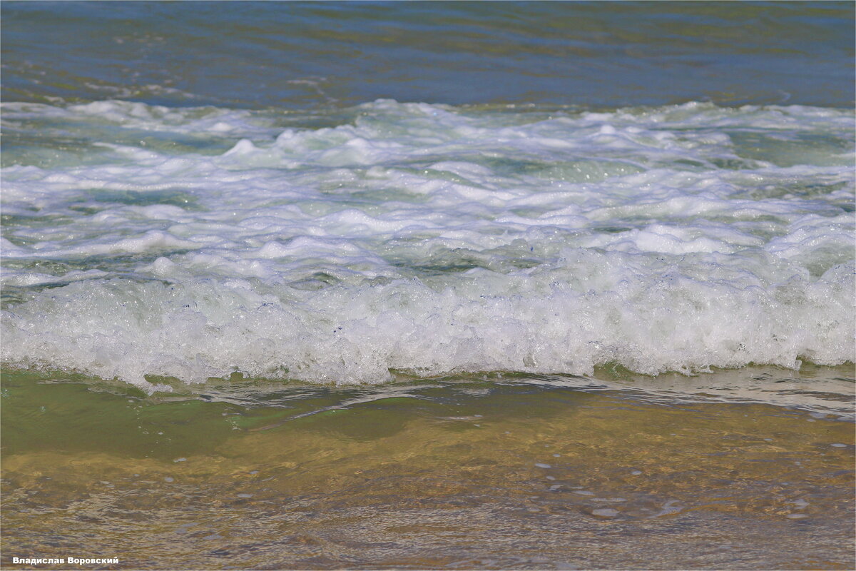 Хайфа 2025 - Владислав Воровский 