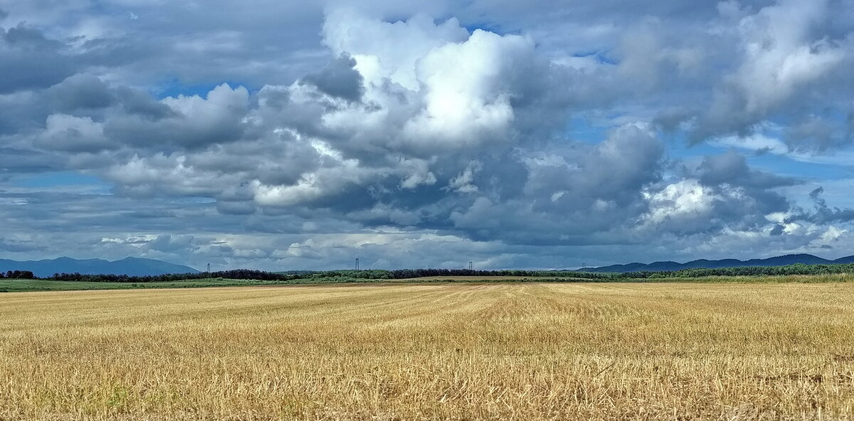 Родная земля! - fillarret-2 