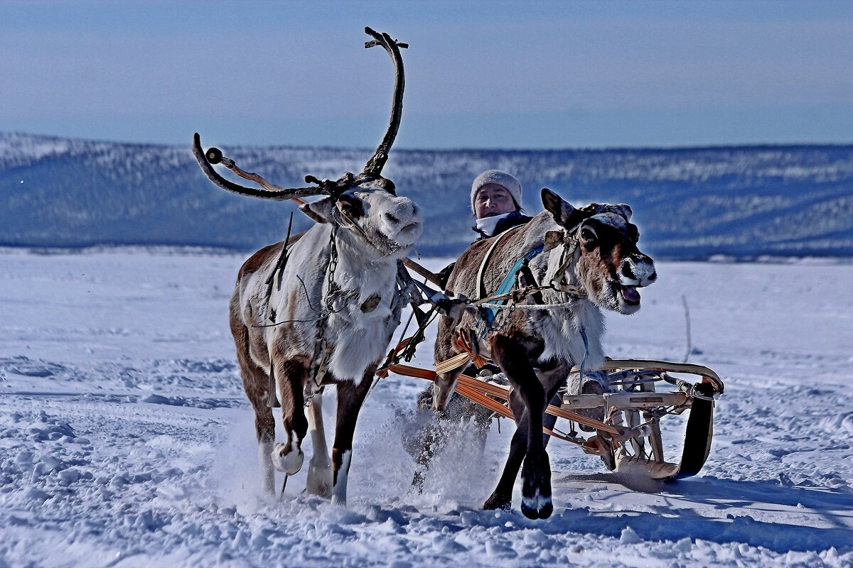 Победа близка - Александр Велигура