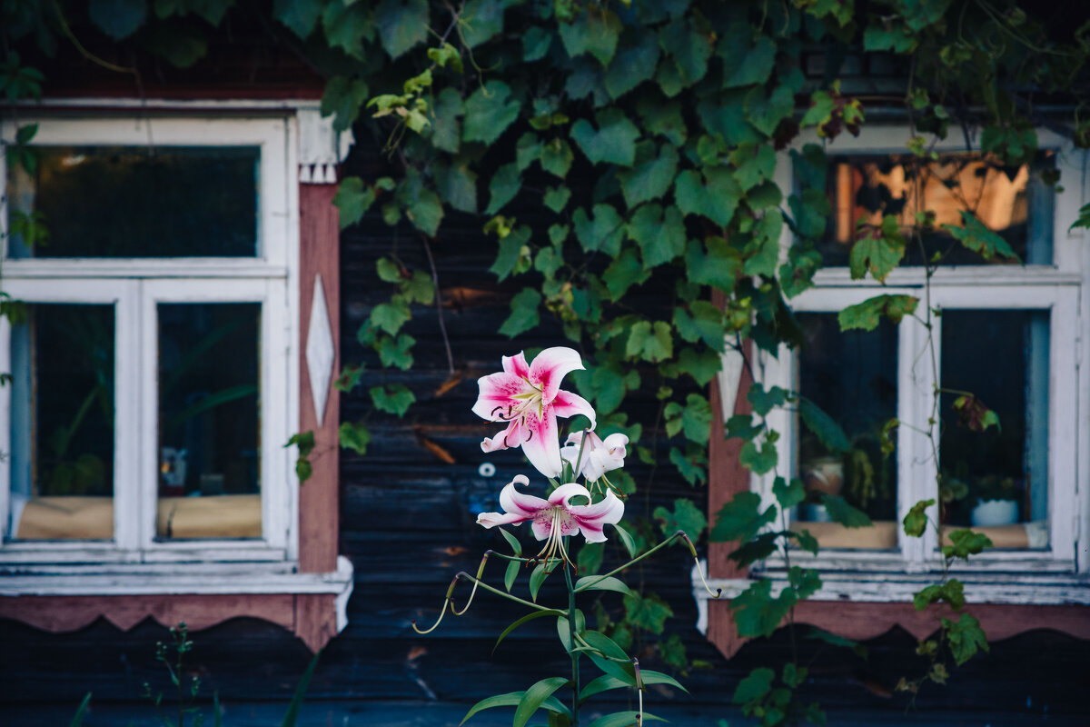 Суздаль такой Суздаль. - Вячеслав Владимирович