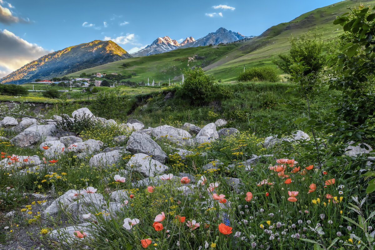 Кавказ - Владимир Колесников