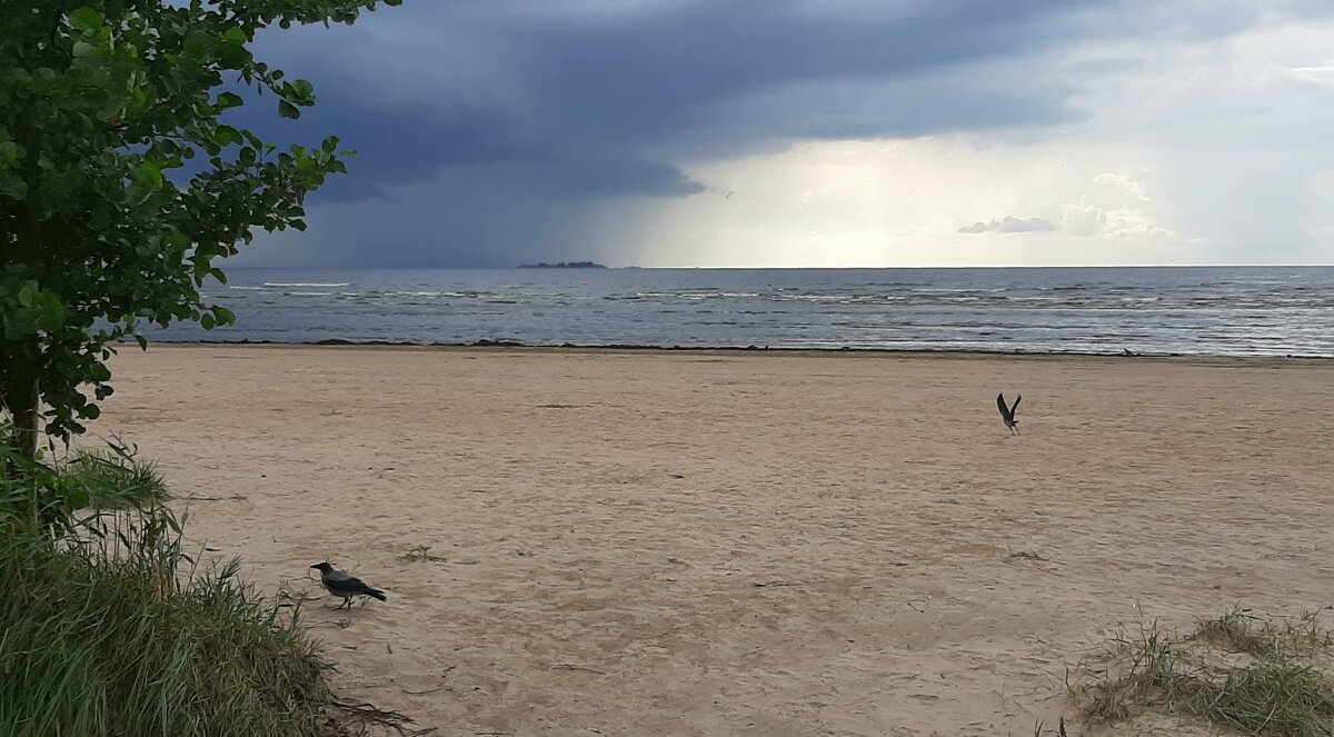 *** - Наталья Герасимова