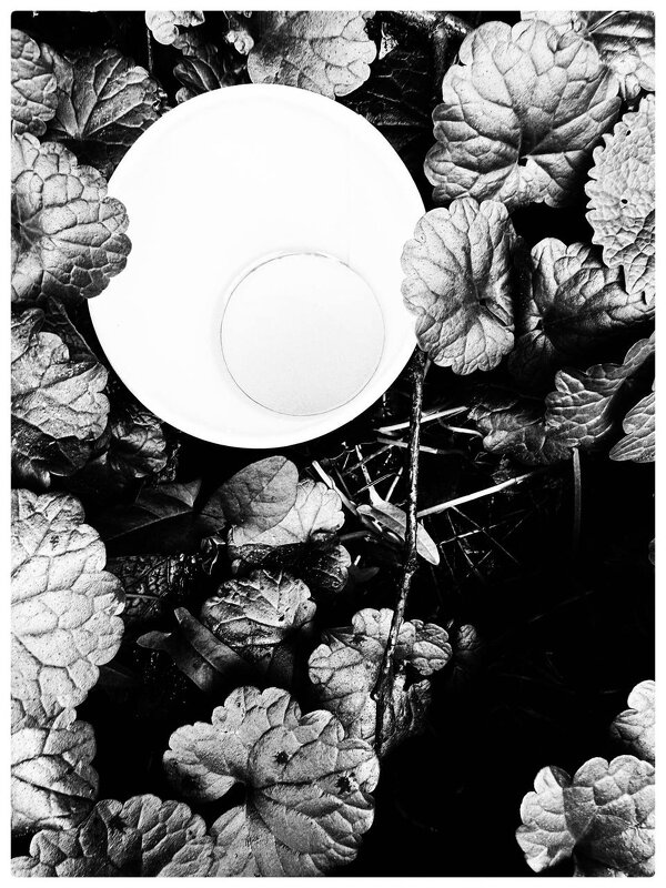 *** - someone somewere