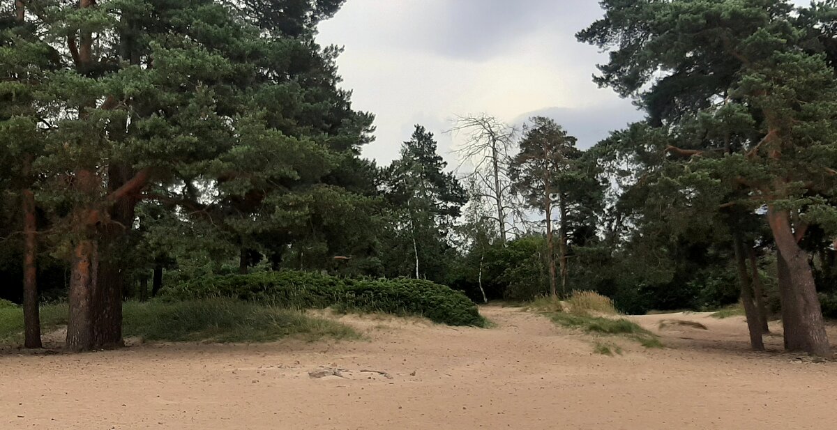 *** - Наталья Герасимова