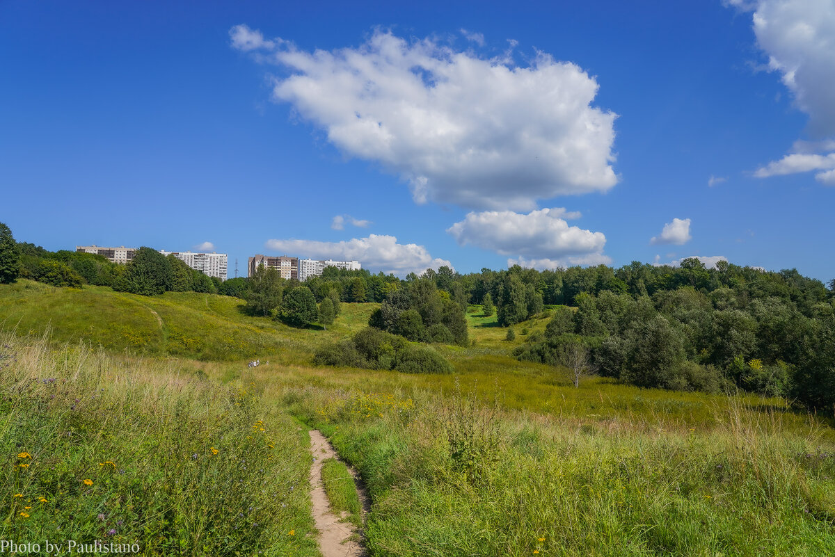 Палитра августа... - Владимир Жданов