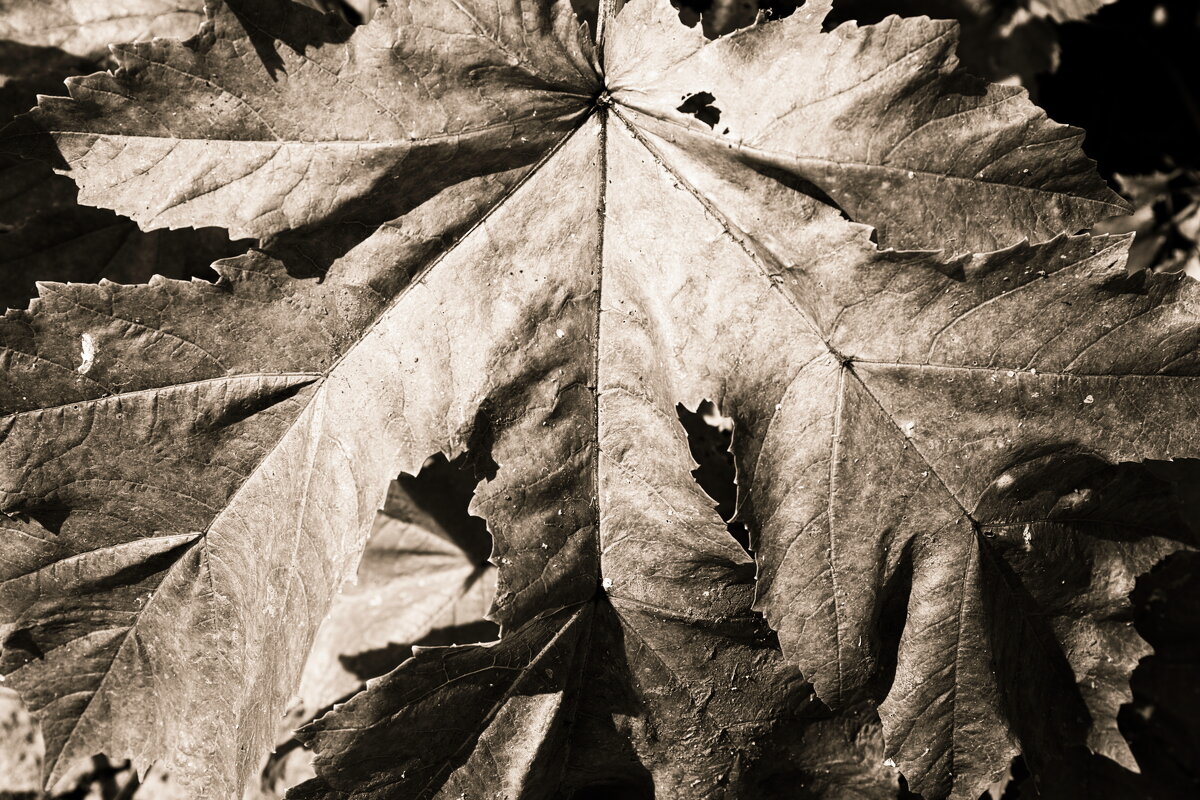 Назва. отсу. - Денис Безногов