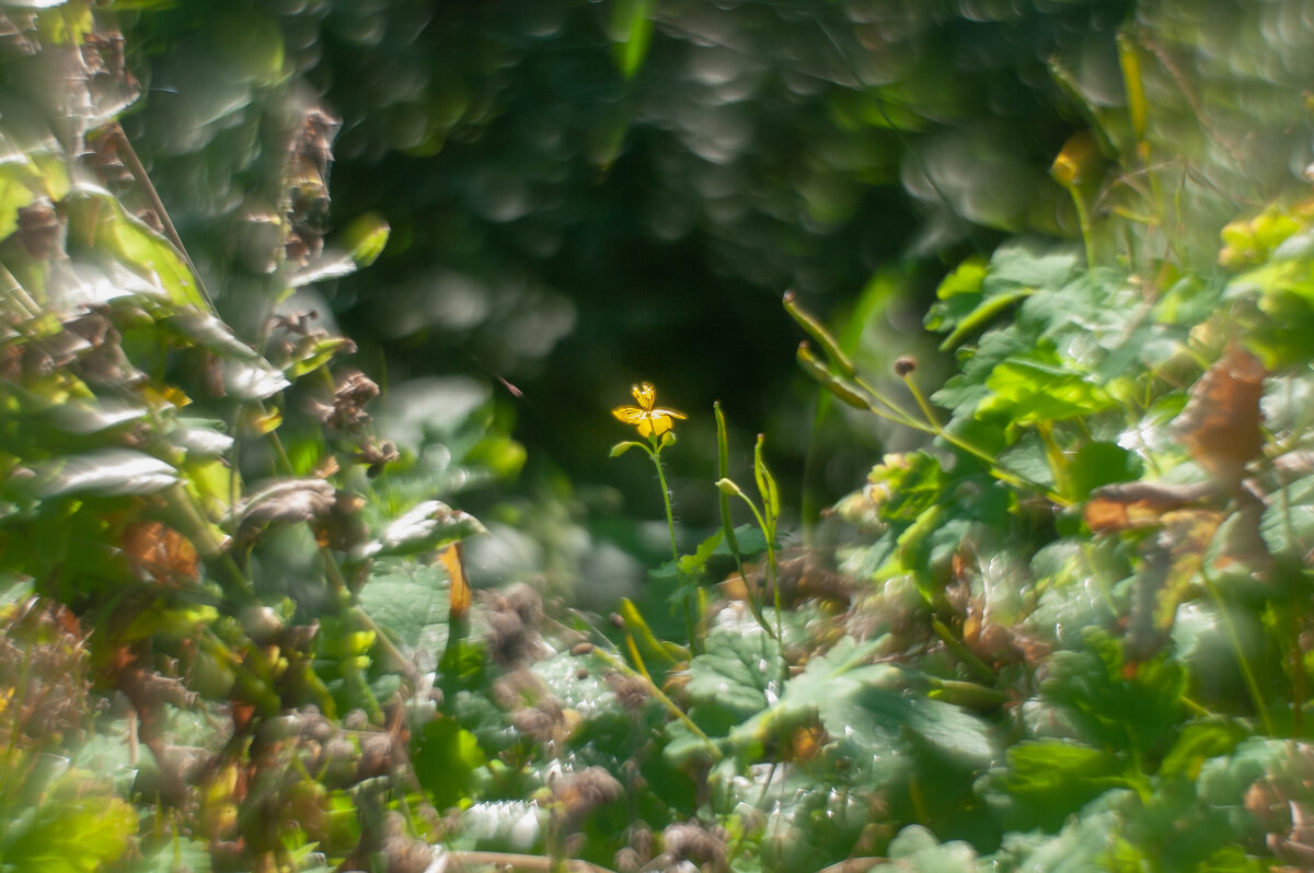 ... - василий 