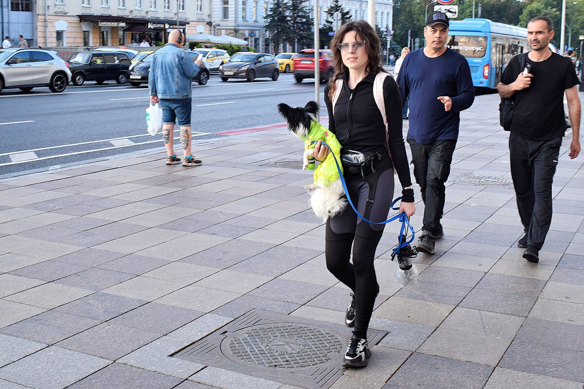 Всех нас — и взрослых, и детей — собаки делают добрей. - Татьяна Помогалова